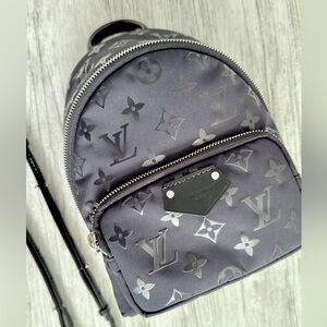 Louis Vuitton Palm Springs Mini Backpack 2024 Ski Collection